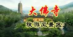 男的jj操女的bb免费视频中国浙江-新昌大佛寺旅游风景区